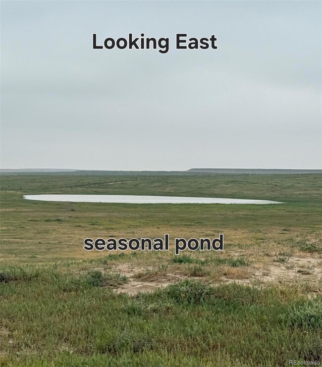 0 County Road 96 unit REC4461766, Pierce, CO 80650 - photo 3