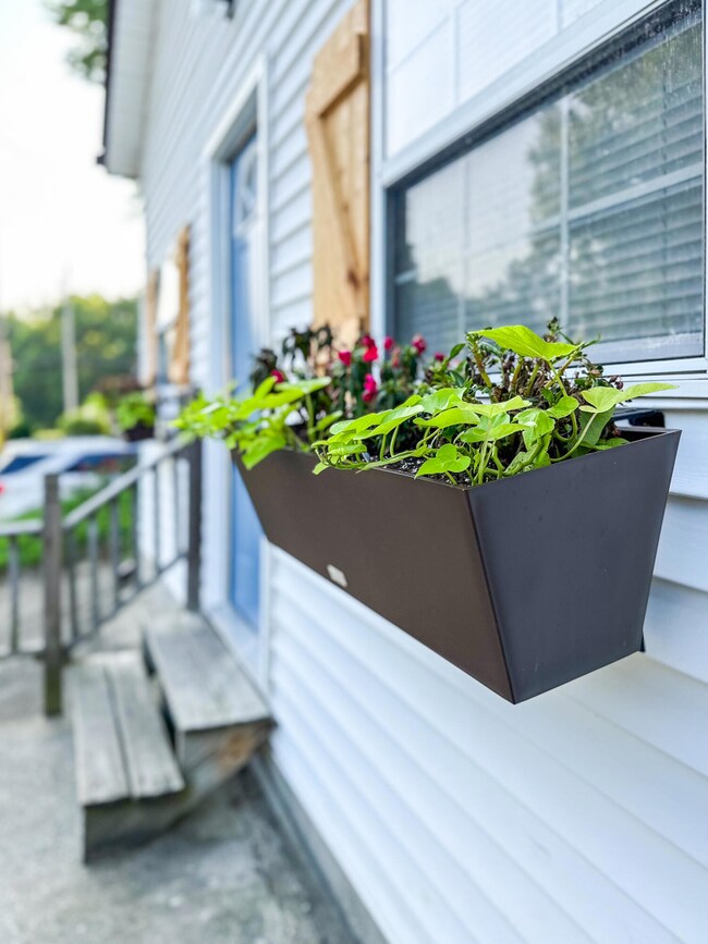 front flower boxes