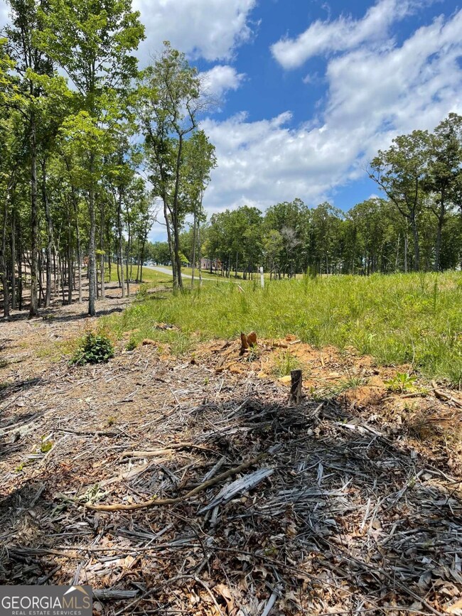 LOT 95 The Ridges, Morganton, GA 30560 - photo 5
