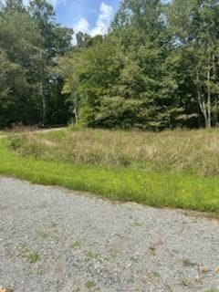 Tr 1 Rev Burch Cove Rd, Hayesville, NC 28904 - photo 5