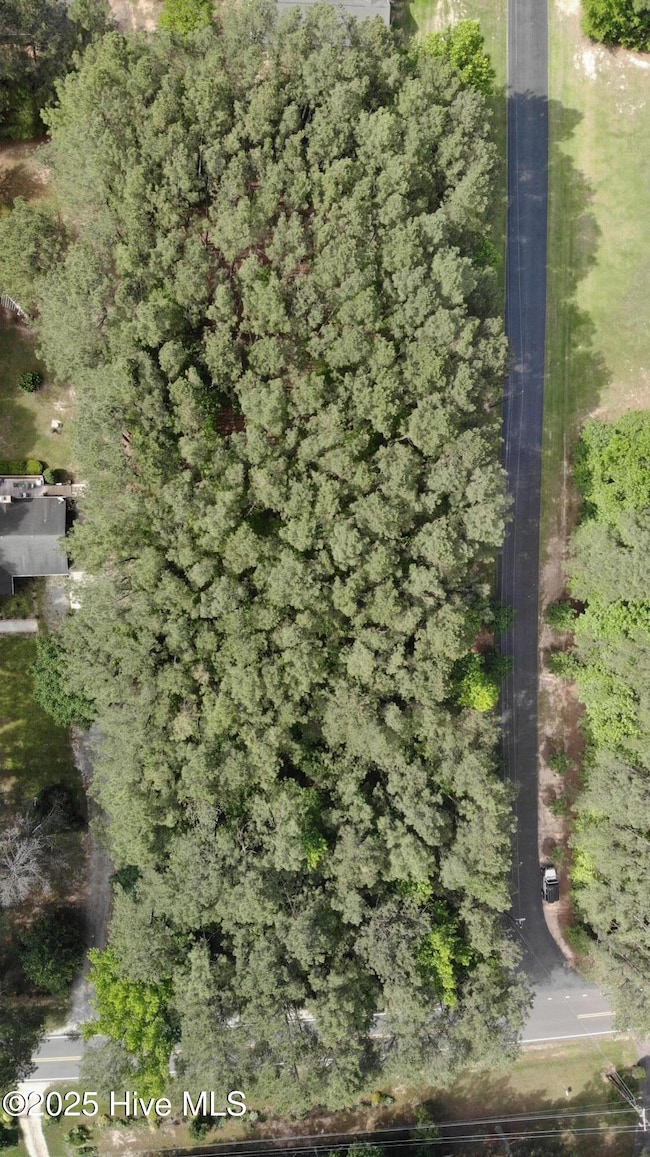 5 Pearl Harbor Rd, Littleton, NC 27850 - photo 6