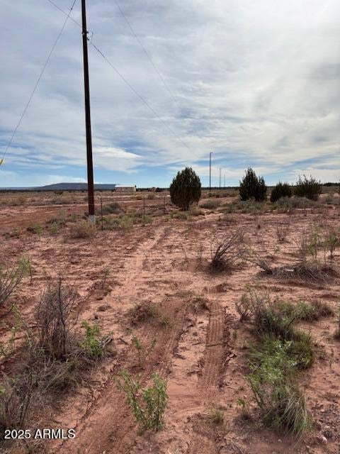 9049 Old School Bus Trail, Snowflake, AZ 85937 - photo 4