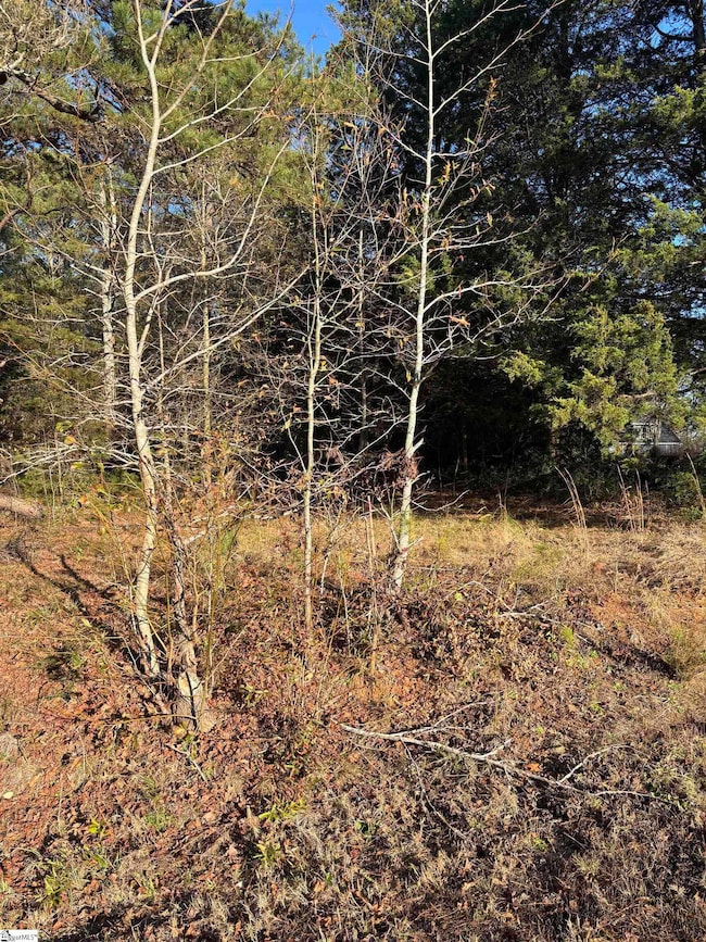 001 Fairground Rd, Simpsonville, SC 29680 - photo 2