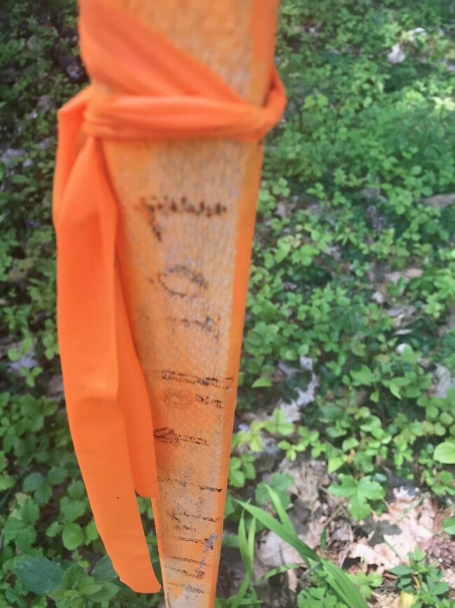 00 Long Point Rd unit 16, Moultonborough, NH 03254 - photo 3