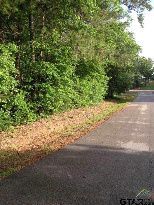 3810 Devon St unit 11 Tara Circle, Weslaco, TX 78599 - photo 3