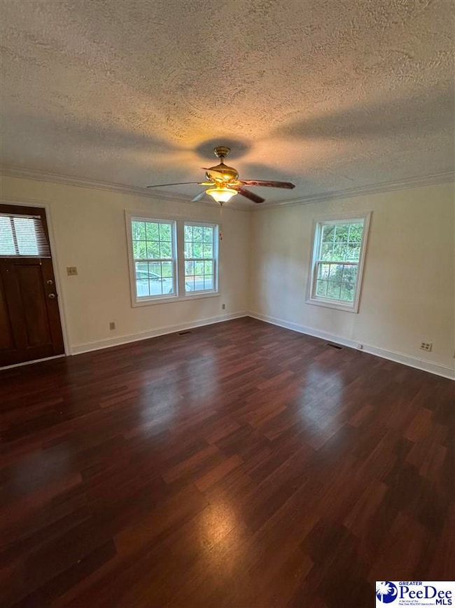 725 N Park St, Mullins, SC 29574 - photo 2