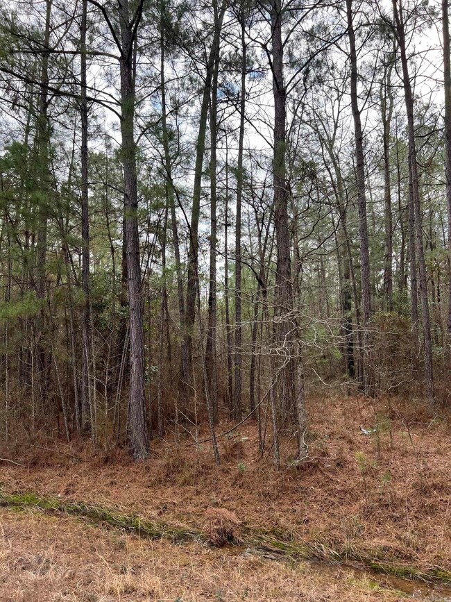 0 Kelly Ave E unit 24032577, Sparkman, AR 71763 - photo 2