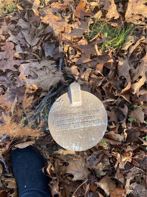 7883 Ellisville Dr, Louisa, VA 23093 - photo 4