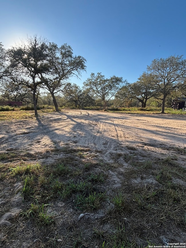 299 Praise Dr, Poteet, TX 78065 - photo 3