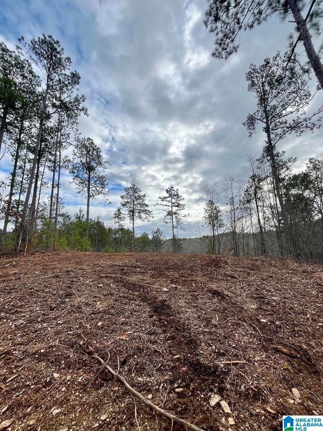 0 County Road 33 unit 21415403, Wedowee, AL 36278 - photo 4