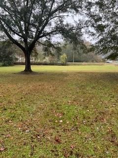 104 W Nance Springs Rd, Resaca, GA 30735 - photo 4