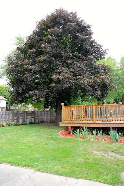 1019 E 17th St N, Newton, IA 50208 - photo 6