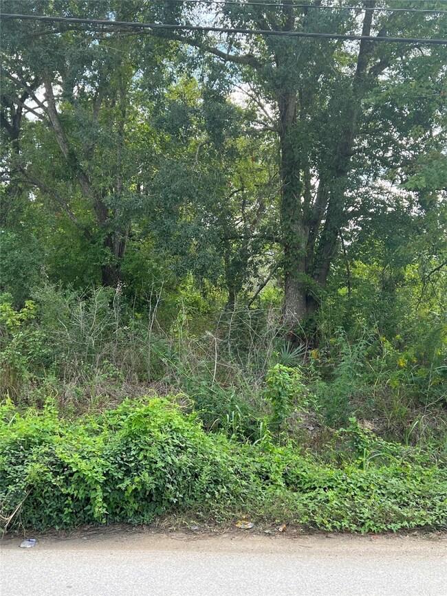 1900 De Soto St, Houston, TX 77091 - photo 3