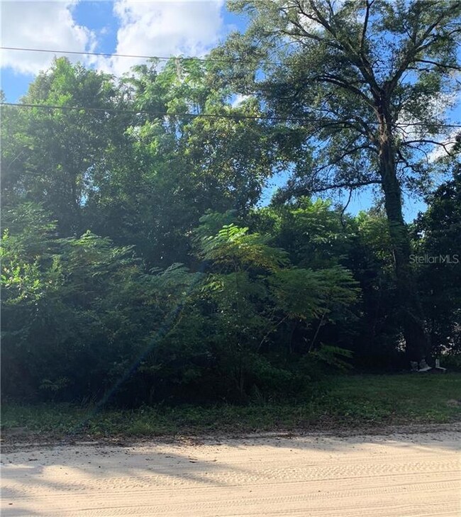 LOT 7 & 8 Oliver Rd, Zephyrhills, FL 33540 - photo 4