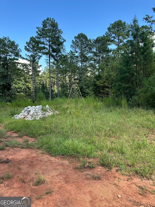 0 Fears Rd unit 10647985, Madison, GA 30650 - photo 5