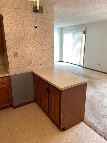 109 Caterpillar Dr unit 1C, Joliet, IL 60436 - photo 4