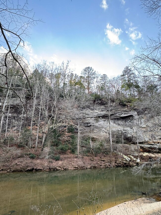 Harmony Way, Hamilton, AL 35570 - photo 3