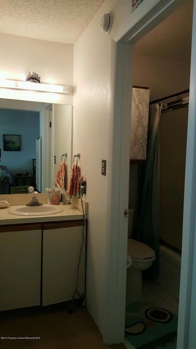 1337 Vine St unit 1337, Aspen, CO 81611 - photo 5