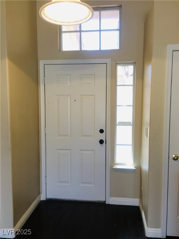 Entrance foyer with healthy amount of natural ligh
