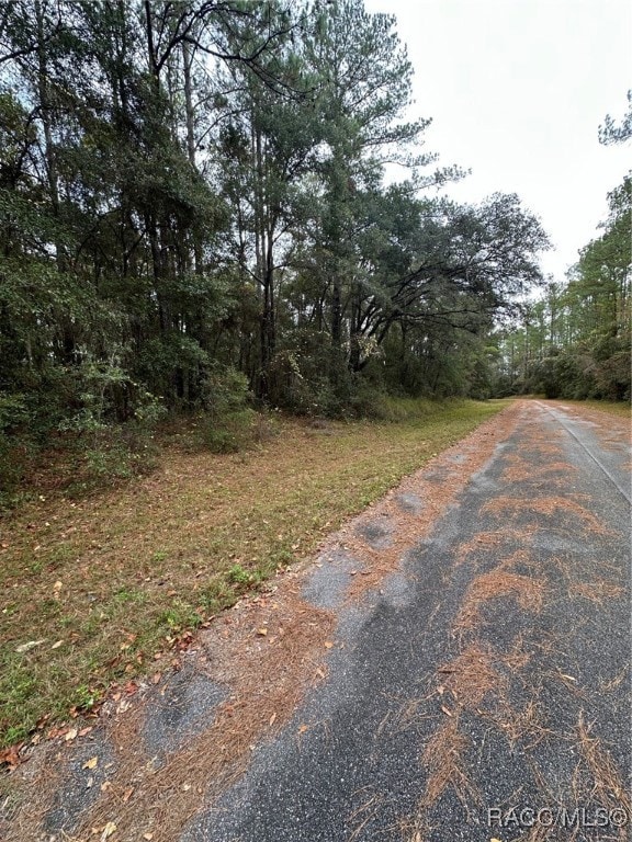 8107 N Floyd Point, Dunnellon, FL 34434 - photo 6