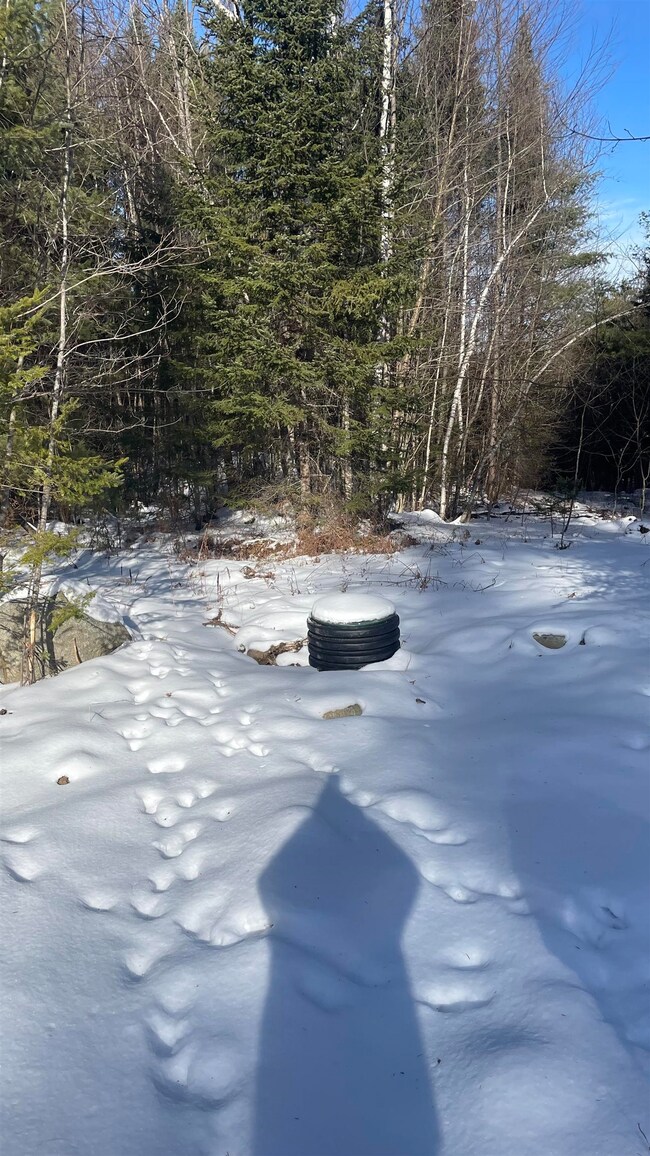 361 Old Franconia Rd, Bethlehem, NH 03574 - photo 4