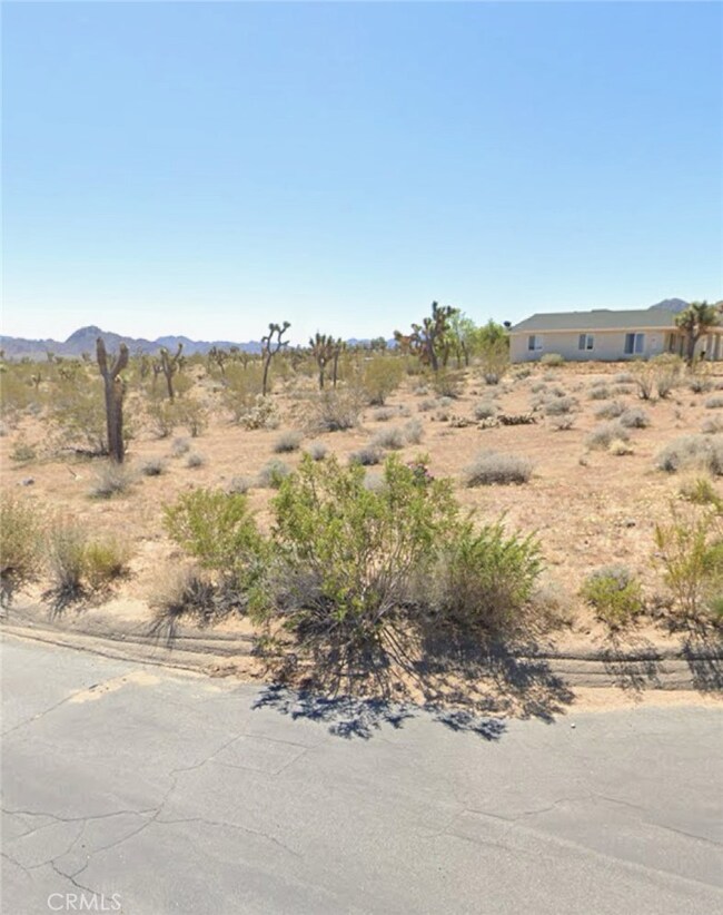 60851 Division St, Joshua Tree, CA 92252 - photo 7