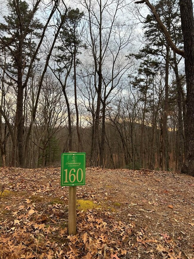 0 Tracks Hollow, Murphy, NC 28906 - photo 2