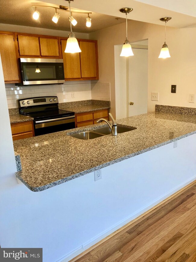 2610 Camelback Ln unit 519, Silver Spring, MD 20906 - photo 7
