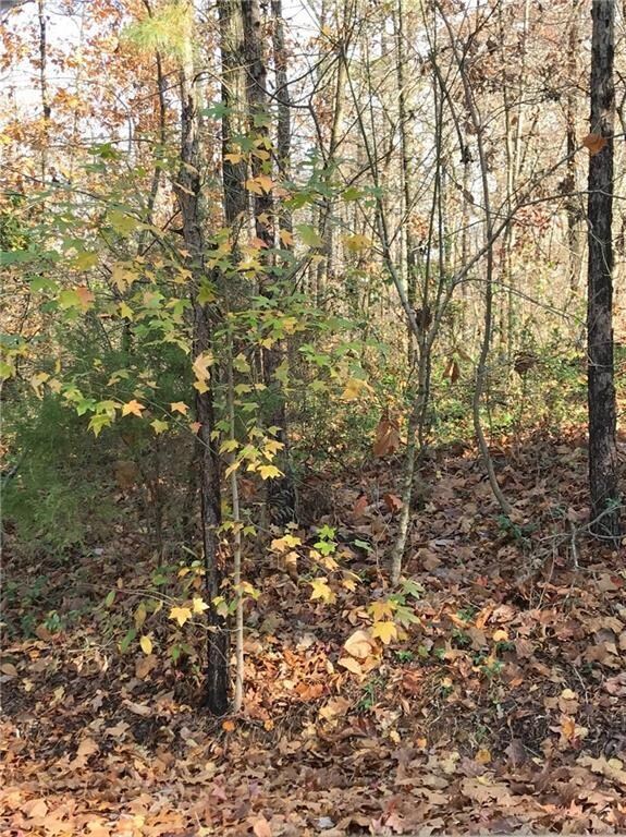 Lot 2 Itetbury Ln, Bella Vista, AR 72714 - photo 3