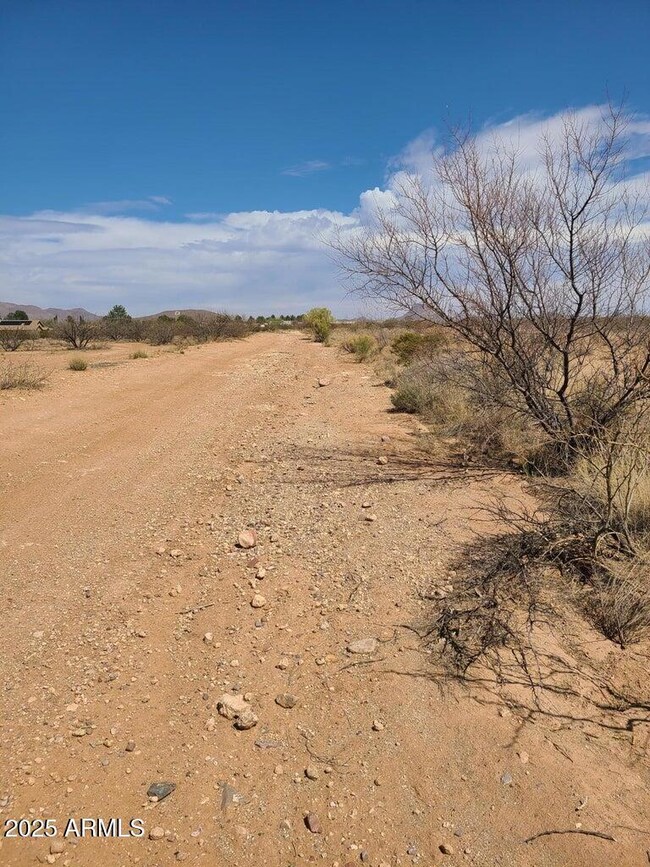 xxxx Tbd 4th St unit 8, Douglas, AZ 85607 - photo 2