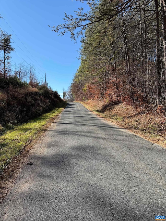 TBD Union Hill Dr, Wingina, VA 24599 - photo 2