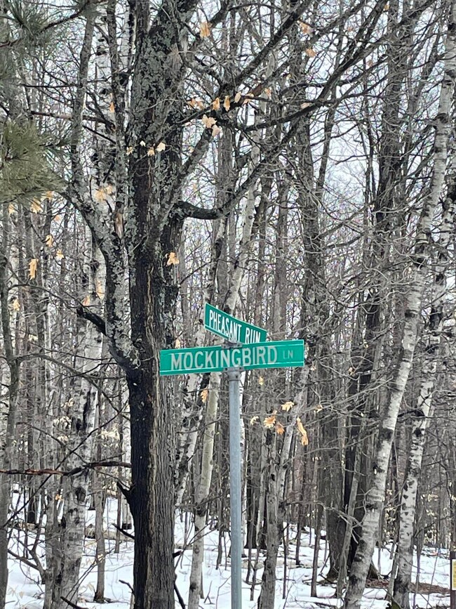 Phesant Run & Mockingbird
