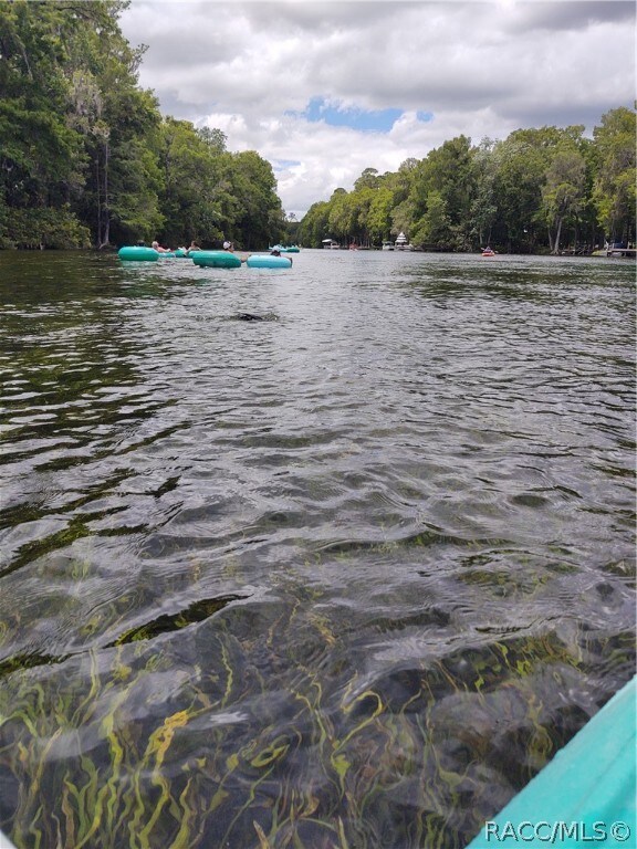 tbd SW 207th Ct, Dunnellon, FL 34431 - photo 7