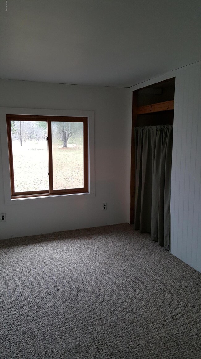 12952 N Woodbridge Ave, Bitely, MI 49309 - photo 6