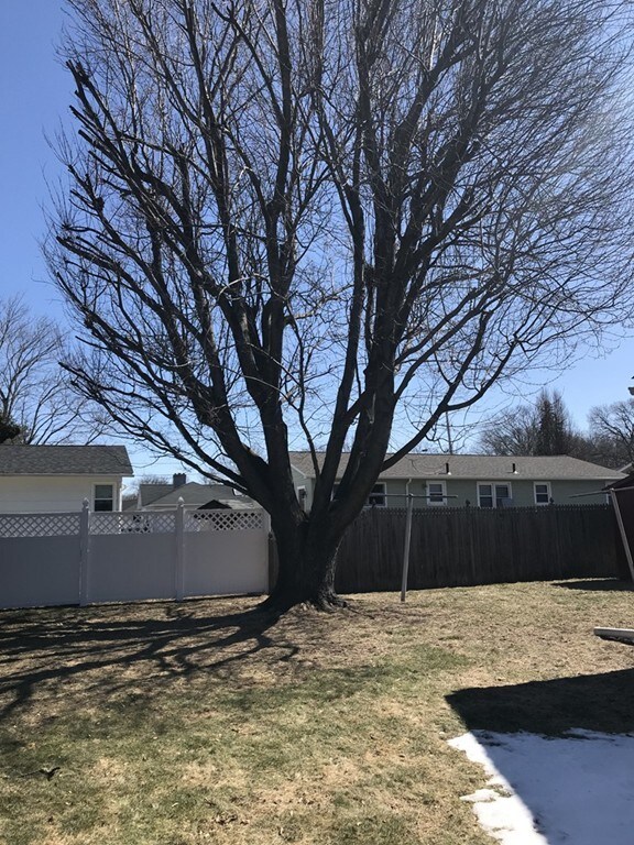 77 Moore St, Chicopee, MA 01013 - photo 2