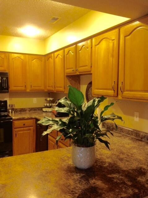 Kitchen_1