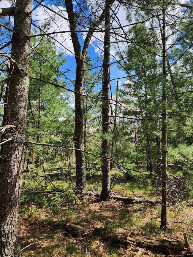 8950 Chatman St, Pleasant Plains Township, MI 49642 - photo 7