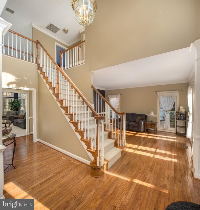 43352 St Andrews St, Chantilly, VA 20152 - photo 3