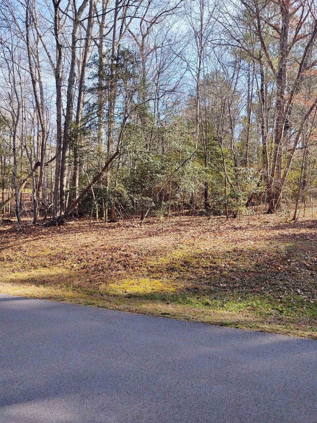 103 Santee Dr, Louisburg, NC 27549 - photo 2