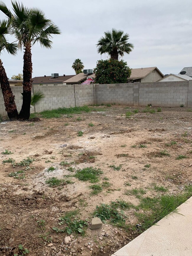 Back Yard