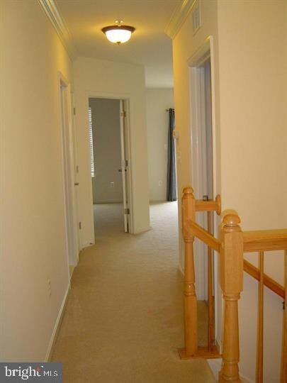 22904 Newcut Rd unit 3161, Clarksburg, MD 20871 - photo 6