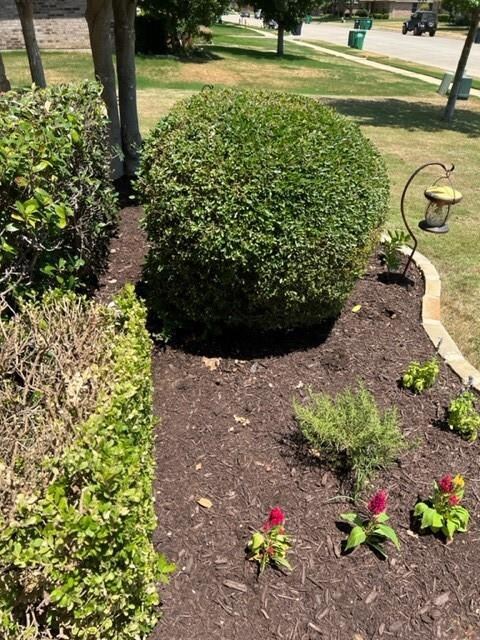 2305 Creekdale Dr, Denton, TX 76210 - photo 5