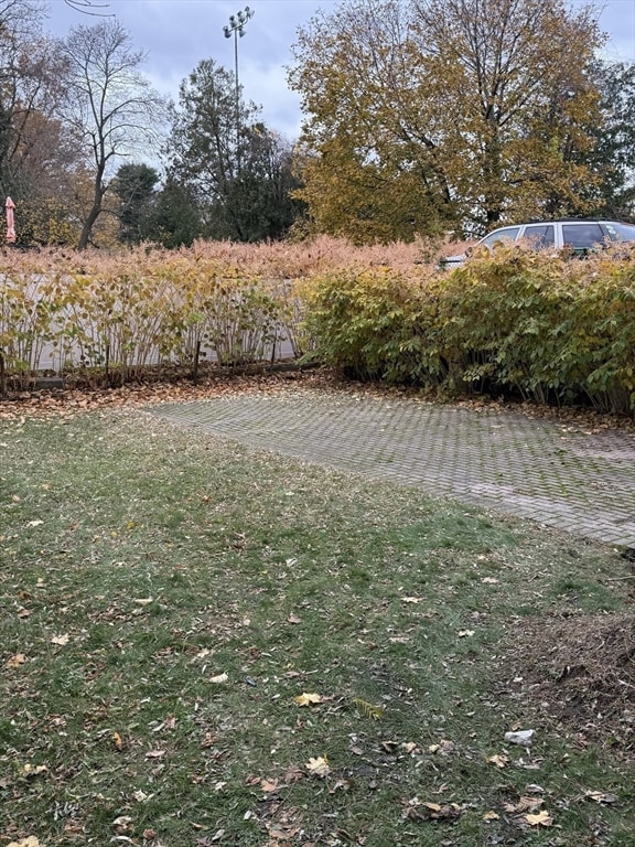 49 Hawthorn St, Newton, MA 02458 - photo 6