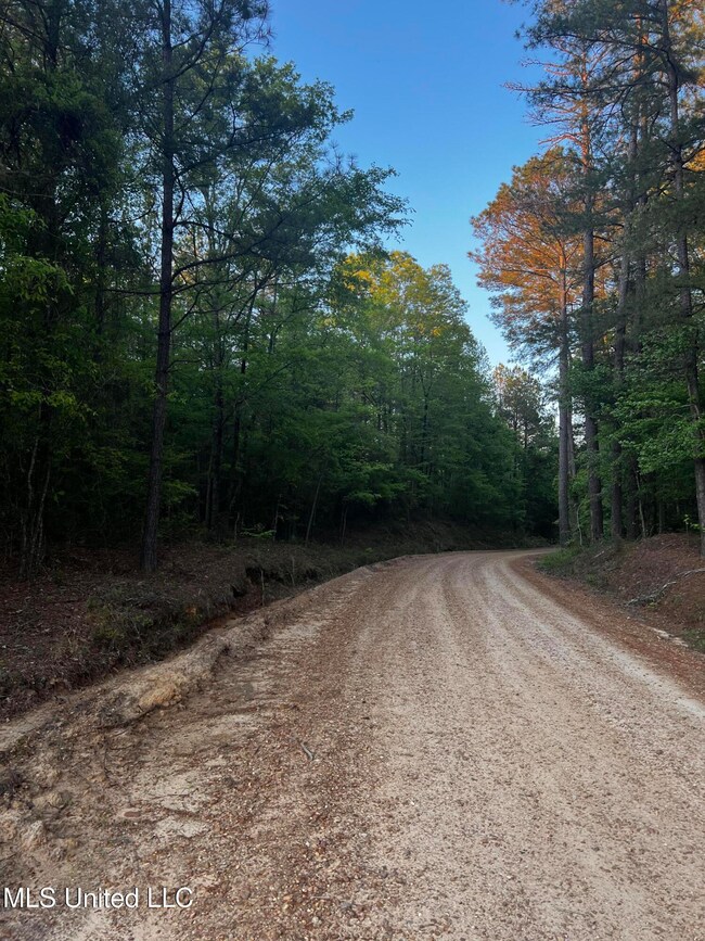 1923 Attala Rd, Goodman, MS 39079 - photo 3