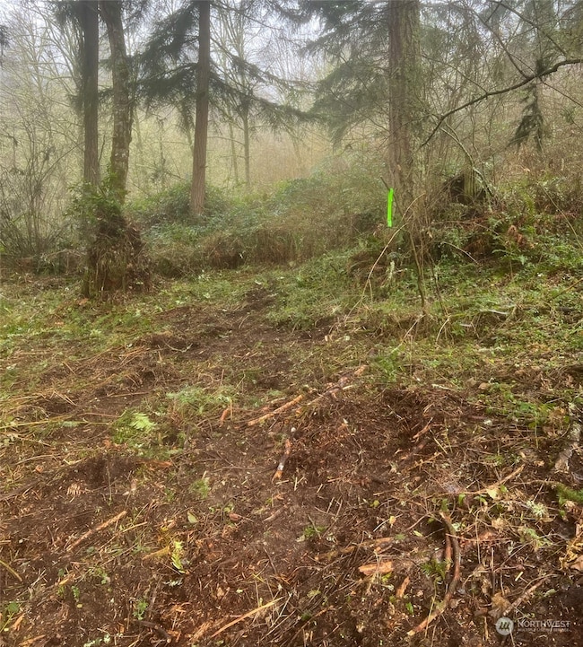 36114 108th Avenue Ct E, Clear Lake, WA 98328 - photo 4