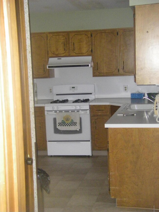 IMGP0955