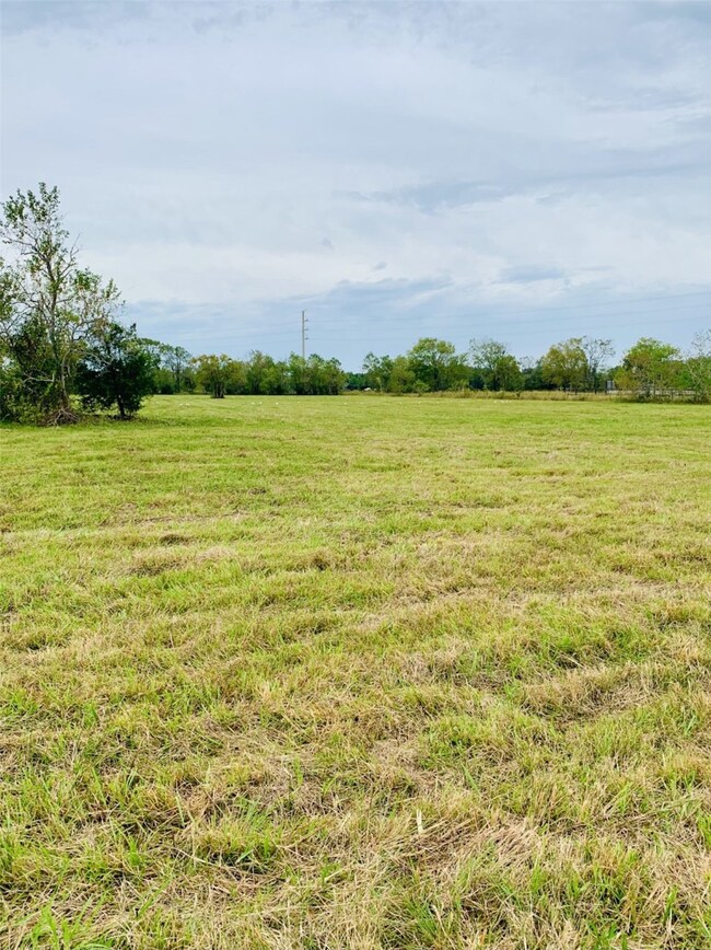 002 County Road 168, Alvin, TX 77511 - photo 6