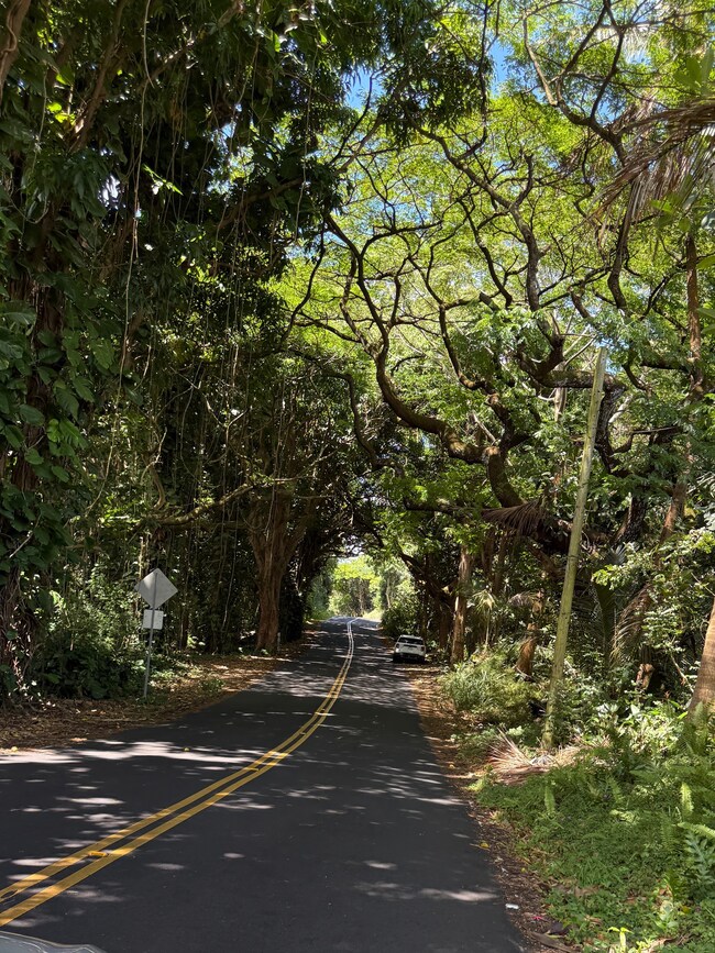 On the way a short distance to Kehena Beach