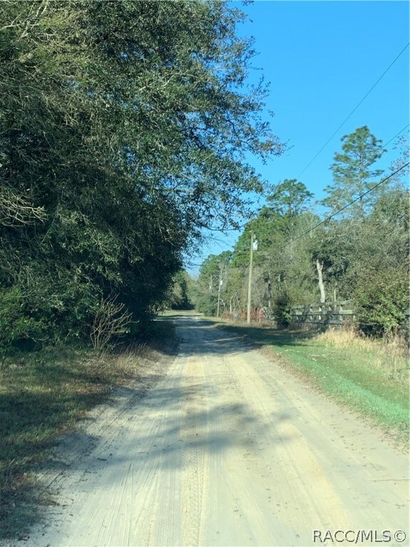 30 E Jinnita St, Hernando, FL 34442 - photo 6