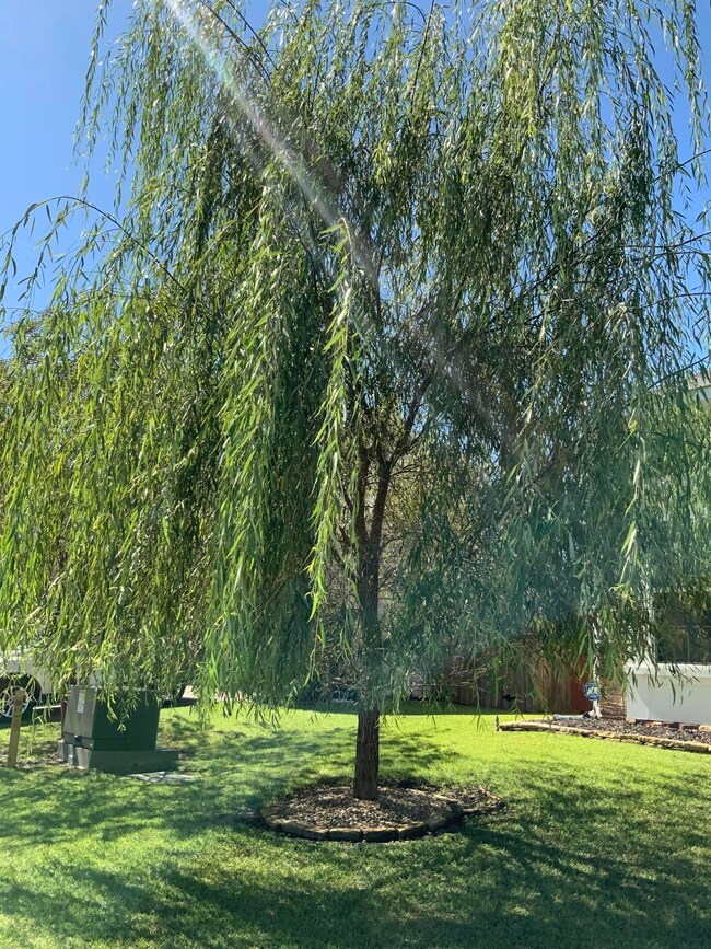 1AC524B4-F10B-477D-9957-C8977E4C43A5